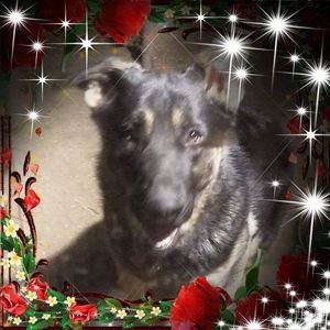 Meet your Posher, Karen